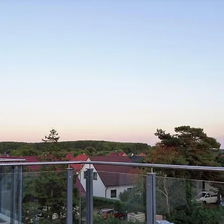 Bella Elisa 格洛威